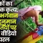 Drunk Youth Slapped Idols of Lord Ram and Hanuman in CG