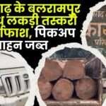 Illegal Timber Smuggling Busted in Chhattisgarh's Balrampur