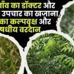 Neem–the Village Doctor and Treasure of Natural Remedies