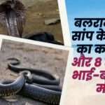 Snake Bite Wreaks Havoc in Balrampur