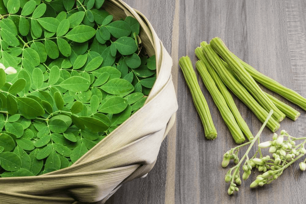मोरिंगा: पोषक तत्वों से भरपूर सुपरफूड के अद्भुत स्वास्थ्य लाभ : Moringa Amazing Health Benefits of a Nutrient-Rich Superfood 4 image 128