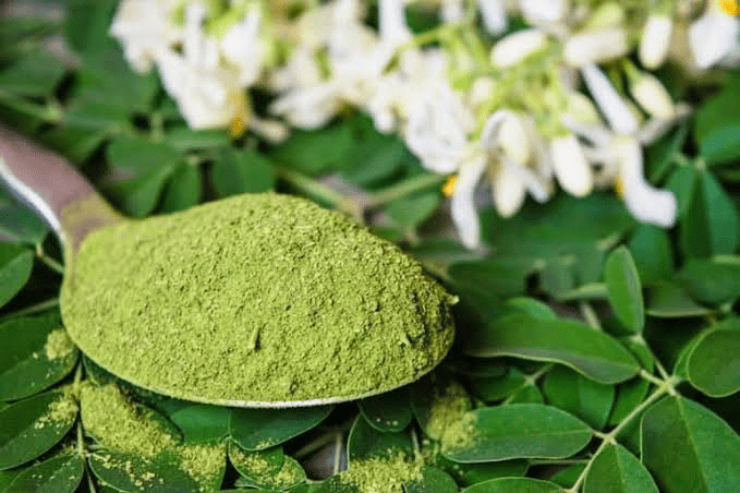 मोरिंगा: पोषक तत्वों से भरपूर सुपरफूड के अद्भुत स्वास्थ्य लाभ : Moringa Amazing Health Benefits of a Nutrient-Rich Superfood 3 image 130