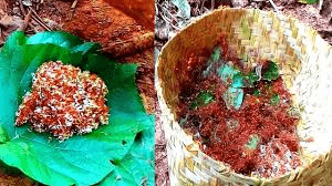 बस्तर की लाल चींटी की चटनी: स्वाद और सेहत का अनोखा संगम : Red Ant Chutney of Bastar A Unique Combination of Taste and Health 1 image 53