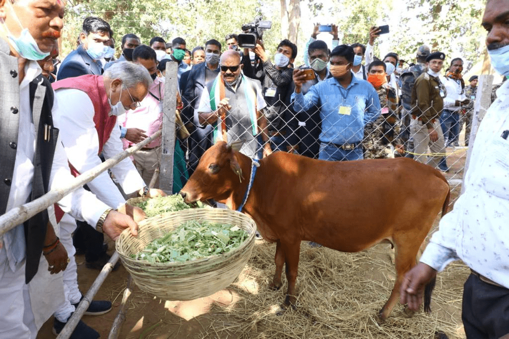 भूपेश बघेल का तगड़ा हमला: गौठान योजना ठप्प, भाजपा सरकार ने गायों को मरने के लिए छोड़ा अधर में, श्राप लगेगा : Gauthan Scheme Stalled in BJP GOVT 2 image 81
