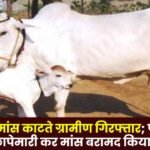 Villagers arrested for cutting calf meat in Bilaspur