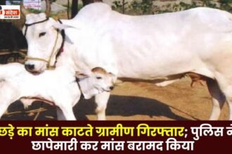 Villagers arrested for cutting calf meat in Bilaspur