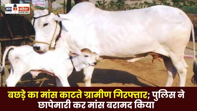 Villagers arrested for cutting calf meat in Bilaspur