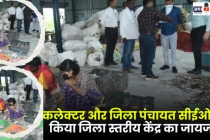 Collector and District Panchayat CEO inspected the district level center