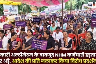 NHM Employees Protest by Burning the Copy of the Order