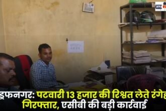 Wadrafnagar Revenue officer arrested in-the-act while taking a bribe of 13,000 rupees