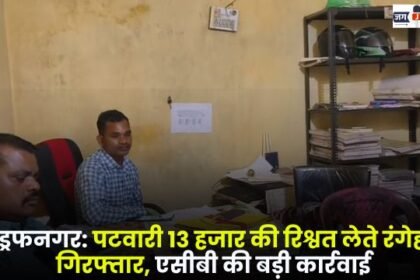 Wadrafnagar Revenue officer arrested in-the-act while taking a bribe of 13,000 rupees