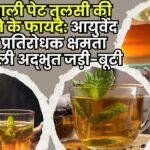 Benefits of drinking Tulsi tea on an empty stomach in the morning