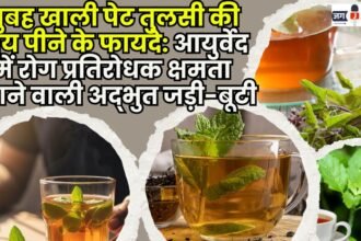 Benefits of drinking Tulsi tea on an empty stomach in the morning