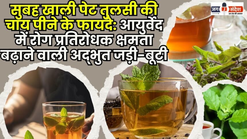 Benefits of drinking Tulsi tea on an empty stomach in the morning