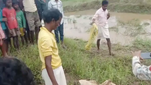 बलरामपुर : डैम टूटने के कारण करीब 25 एकड़ फसल जलमग्न हो गई और लगभग 9 मवेशी तथा 55 बकरियों की मृत्यु हुई : Balrampur Due to the dam breaking about 25 acres of crops were submerged and about 9 cattle and 55 goats died 2 image 61