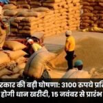 Chhattisgarh government announces major procurement of paddy at Rs 3100 per quintal starting November 15