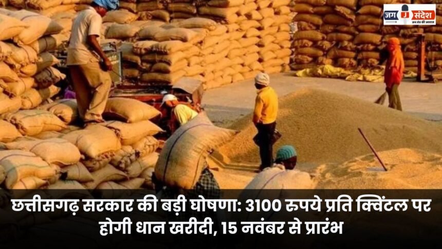 Chhattisgarh government announces major procurement of paddy at Rs 3100 per quintal starting November 15
