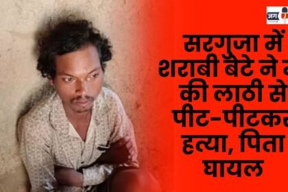 In Surguja drunken son beat his mother to death with a stick