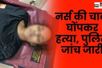 Nurse stabbed to death police investigation underway