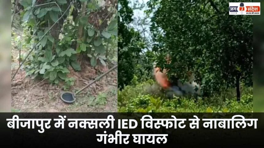 Minor seriously injured in Naxalite IED blast in Bijapur