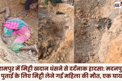 Balrampur Woman who went to collect clay for whitewashing house in Madanpur dies