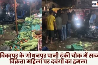 woman vegetable vendor was attacked by goons at Godhanpur Pani Tanki Chowk in Ambikapur