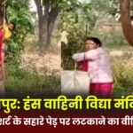Surajpur: Video of a child hanging from a tree with the help of a T-shirt in Hans Vahini Vidya Mandir goes viral