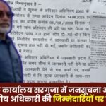 Mr. Pandey has alleged that the responsibilities of the Public Information Officer and the Appellate Officer in the Divisional Commissioner's Office Surguja