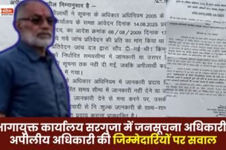 Mr. Pandey has alleged that the responsibilities of the Public Information Officer and the Appellate Officer in the Divisional Commissioner's Office Surguja