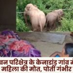 Elephant attack in Kenadand village of Kansabel forest range