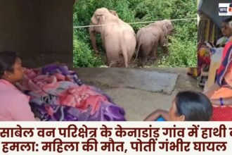 Elephant attack in Kenadand village of Kansabel forest range