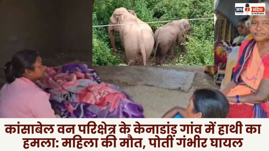 Elephant attack in Kenadand village of Kansabel forest range