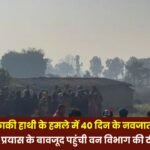 A 40-day-old infant tragically died in an attack by a lone elephant in Bhatgaon