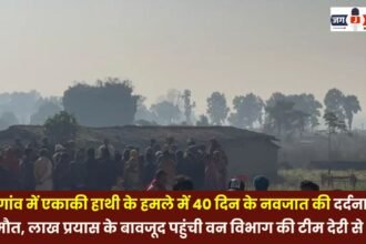 A 40-day-old infant tragically died in an attack by a lone elephant in Bhatgaon