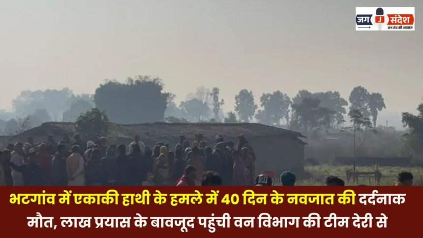 A 40-day-old infant tragically died in an attack by a lone elephant in Bhatgaon