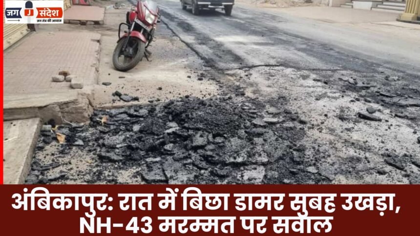 Ambikapur: Asphalt laid at night peeled off by morning, raising questions about NH-43 repair work