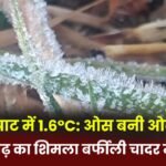 Mainpat records 1.6°C