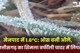 Mainpat records 1.6°C