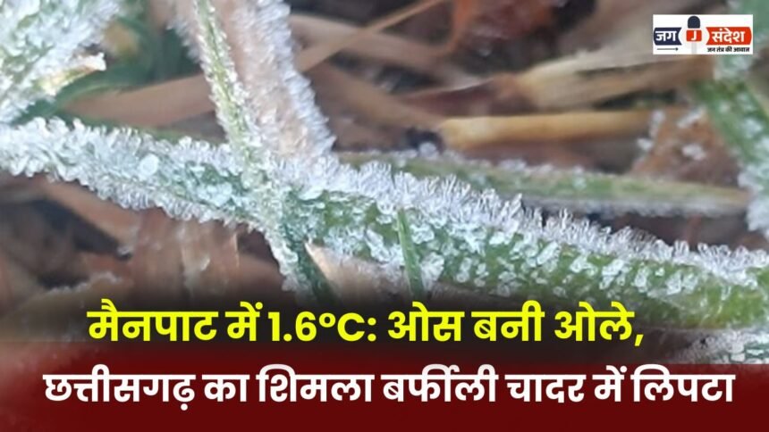 Mainpat records 1.6°C