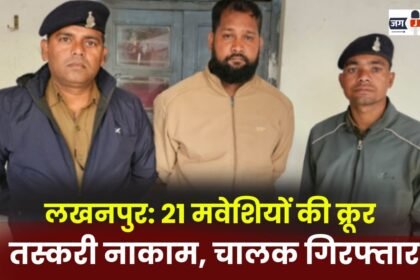 Lakhanpur: Cruel smuggling of 21 cattle foiled, driver arrested