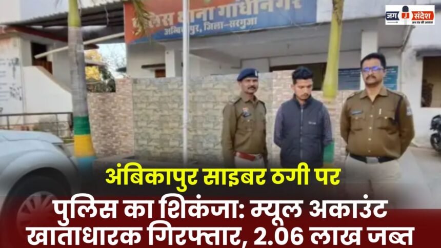 Ambikapur cyber fraud crackdown