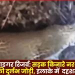 jassandesh 2026 01 19T154155.492