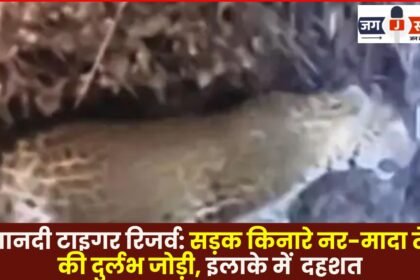 jassandesh 2026 01 19T154155.492