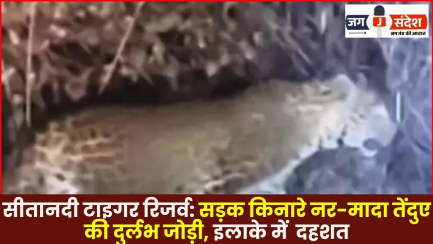 jassandesh 2026 01 19T154155.492