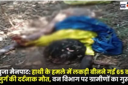 Surguja Mainpat: A 65-year-old woman who was collecting wood died tragically in an elephant attack