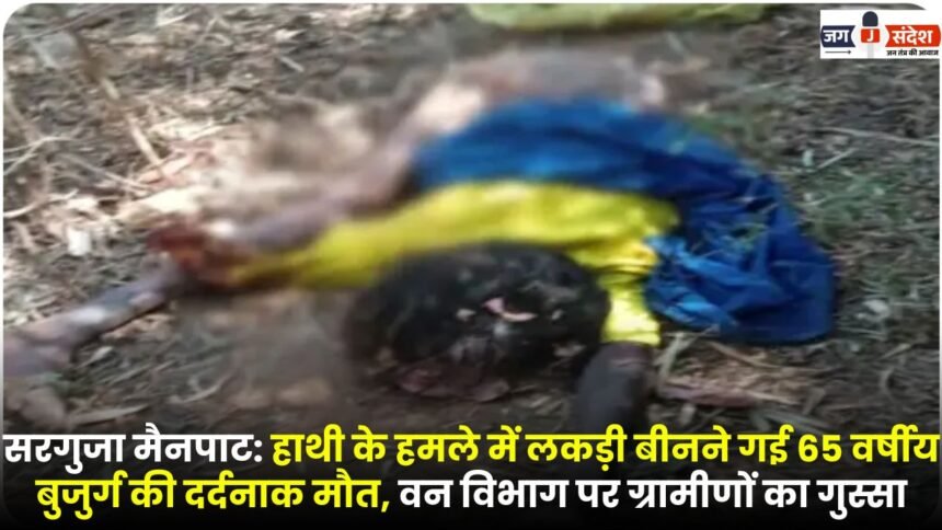 Surguja Mainpat: A 65-year-old woman who was collecting wood died tragically in an elephant attack