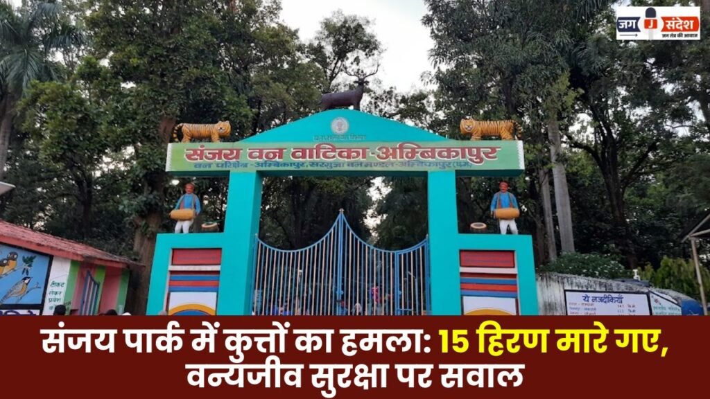 Sanjay Park15 Deer Killed