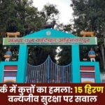 Sanjay Park15 Deer Killed