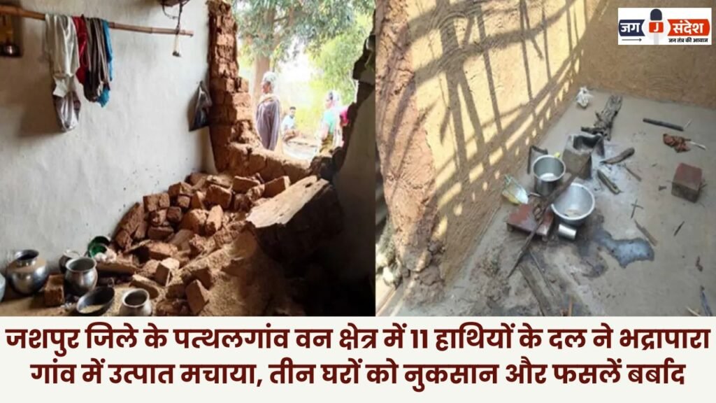 11 elephants wreaked havoc in Bhadrapura village