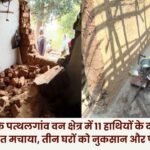 11 elephants wreaked havoc in Bhadrapura village